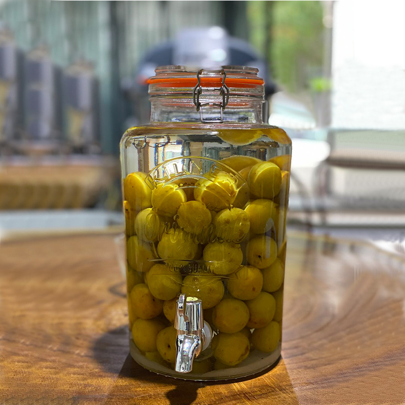 Kilner green plum soaking wine bottle with faucet