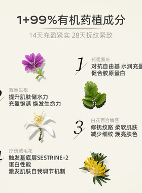 德国世家博士紧致调理精华露紧致