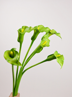仿真花马蹄莲手感PU白色紫色海芋百合软装拍摄家居摆饰