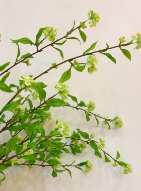 自然仿真花客厅大堂摆件枝条