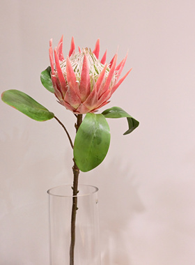 家居饰品仿真花卉假花装饰品 客厅餐桌茶几插花花艺摆设 大帝王花