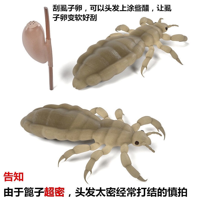 新款仿生竹篦子头皮屑梳子超密齿梳子女儿童刮头发去虱子塑胶加密