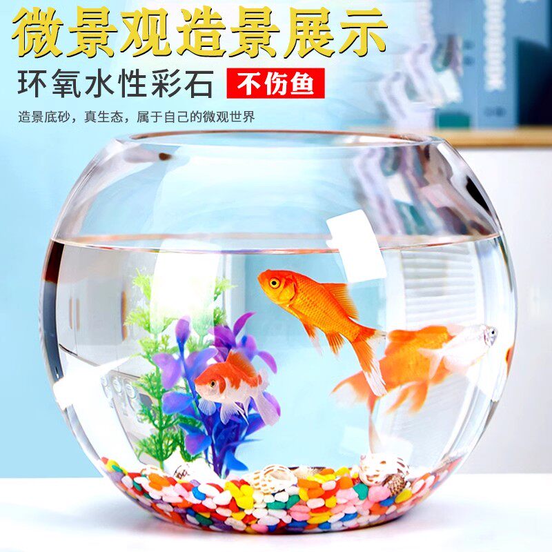 天然五彩彩石七彩石盆栽彩色多肉铺面石花盆鱼缸造景小石子鹅卵石