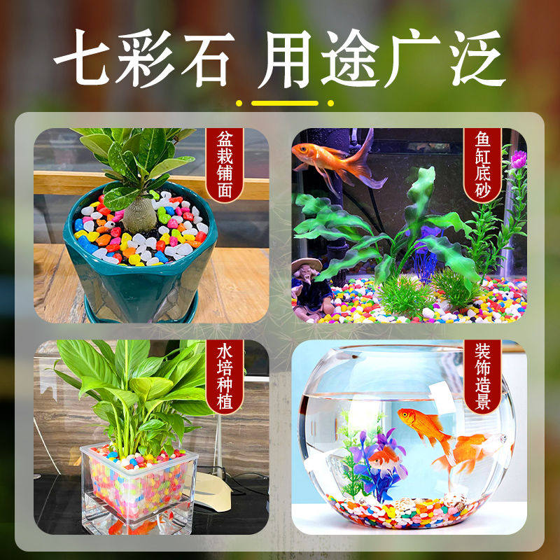 天然五彩彩石七彩石盆栽彩色多肉铺面石花盆鱼缸造景小石子鹅卵石