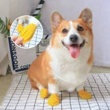 Пет -собака дождевится дождевые медведи Водонепроницаемые анти -лиртные