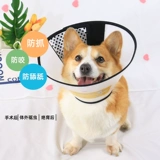 Добайка для домашнего питомца Элизабет Круг Лизает антибитовый круг круга шнур -шнур кот кателд орат -шейный круг Элишаба