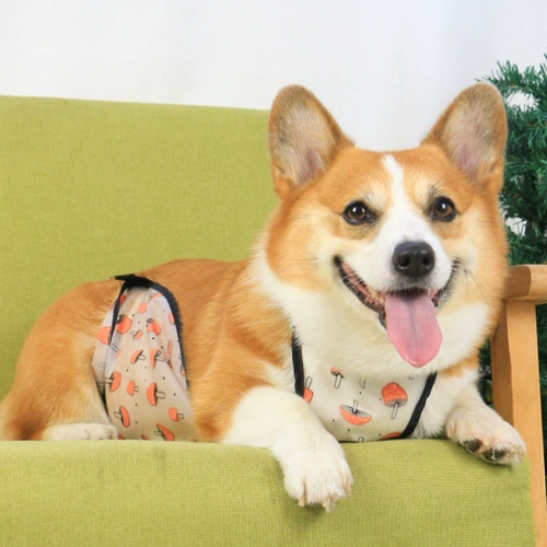 Защита от живота для живота живота защиты от живота от холодного щетки Corgi Teddy Pupp