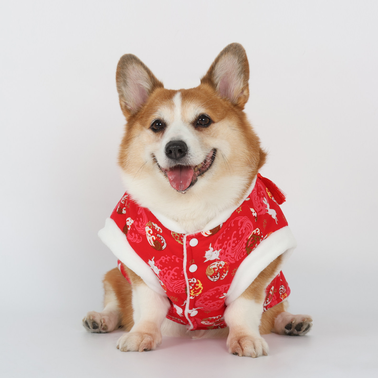 宠物狗狗冬季新年战袍过年喜庆唐装保暖马甲柴犬柯基2026新款棉衣,淘宝优惠券,粉丝福利购,淘宝优惠卷