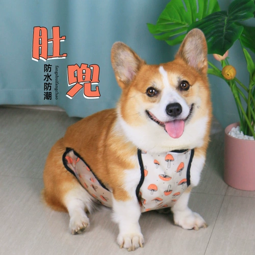 Защита от живота для живота живота защиты от живота от холодного щетки Corgi Teddy Pupp