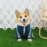 Одежда для любимой собаки осень стиль весна и осенью Новая осень и зимняя собака среднего размера