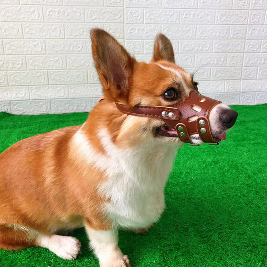 Pet supplies dog muzzle anti-bite corgi mask