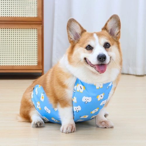 Петучная собака Анти-дурацкие животы для всех сезонов водонепроницаем