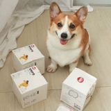 Магазин обратно, пассажир прошел 10 000 -летний магазин домашний собака физиологические брюки по уходу