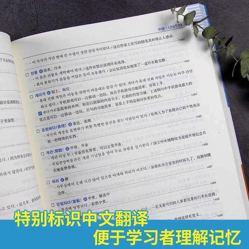 韩语topik单词 新韩国语能力考试单词 topik必备单词乱序版金龙一初级中高级词汇topik韩语单词书韩语自学入门考试用书韩语词汇 - 图2