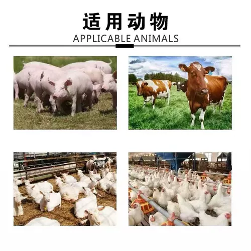 Ветеринарные свиньи, жидкость Хуоксин Чжэнки, цыплята, пероральная жидкость Хуоксин Чжэнки, цыплята, утки, гуси, свиньи, крупный рогатый скот и примеси с кормами овец