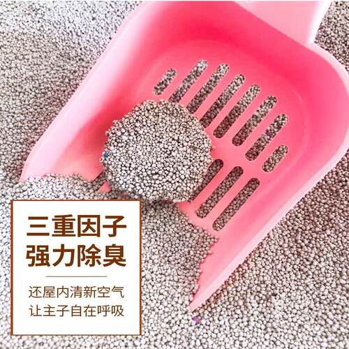 凌源凌岩猫砂10公斤kg包邮除臭结团低尘膨润土猫沙20斤猫咪用品 - 图2
