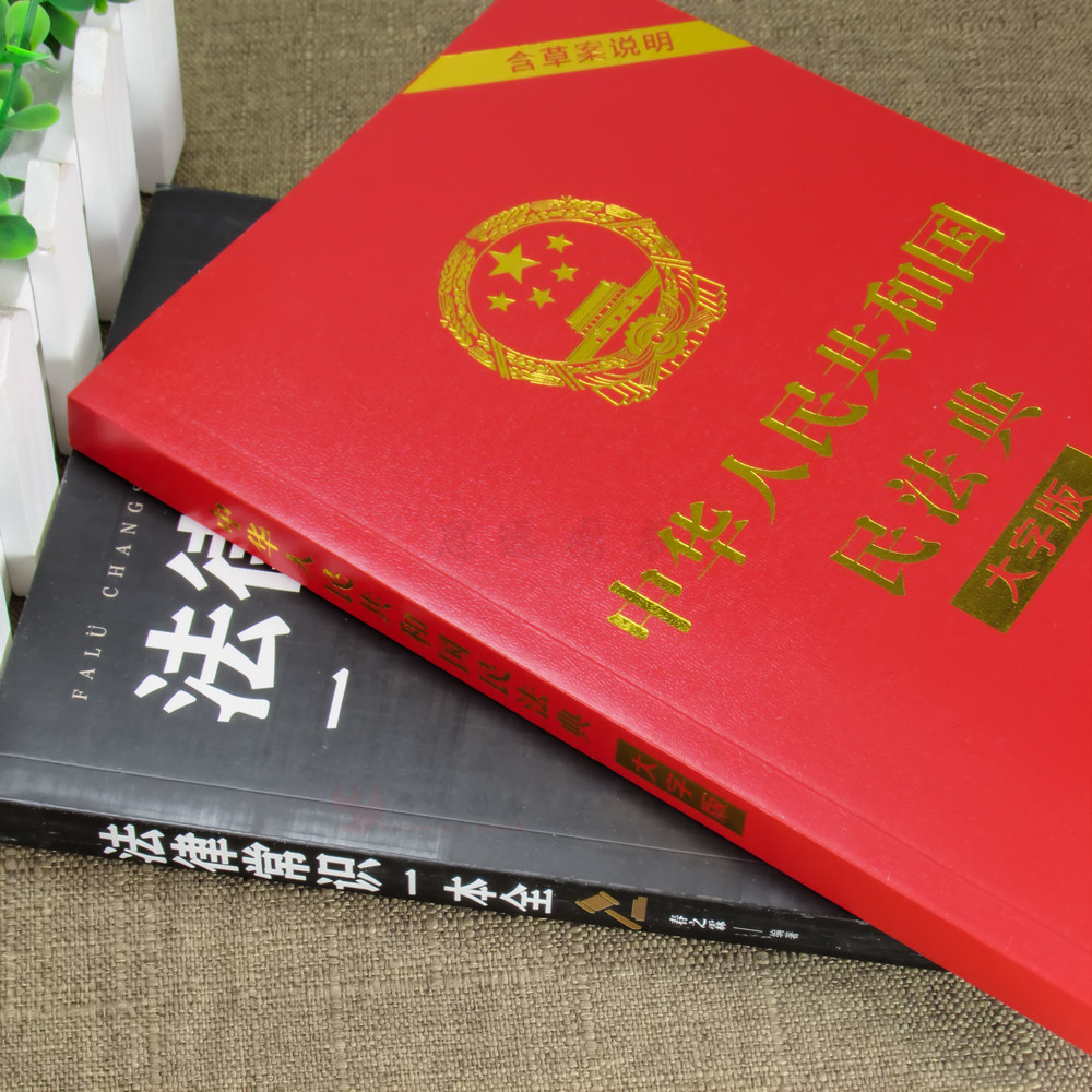 全2册法律常识一本全+中华人民共和国民法典大字版民法典理解与适用民法典2021年版正版实用版名法典公司劳动法婚姻法刑法书籍_虎窝淘