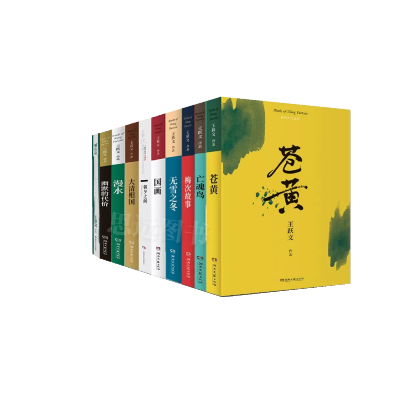 王跃文作品集10册王跃文国画朝夕之间苍黄亡魂鸟幽默的代价梅次故事无雪之冬等中国当代官场小说书籍正版现当代文学湖南文艺-图3