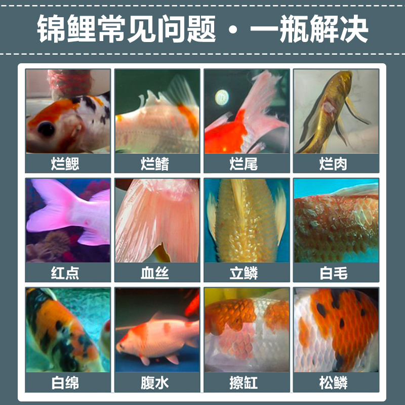 皇牌蓝宝液杀菌消毒药鱼池净水杀虫锦鲤烂身烂尾鱼药万能疾病治疗,淘宝优惠券,粉丝福利购,淘宝优惠卷