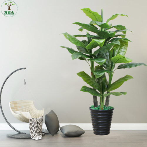 仿真植物盆栽摆件客厅假花绿植大型滴水观音假树仿真树装饰发财树-图1