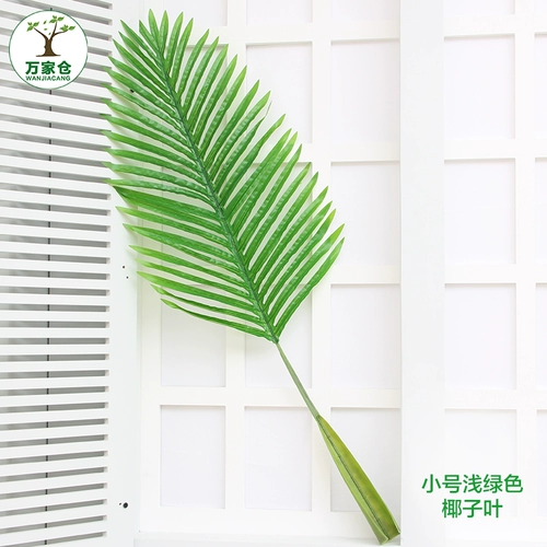 Моделирование растений Санцзянфлауэр лист лист лист лист лист пальмовые листья гостиная