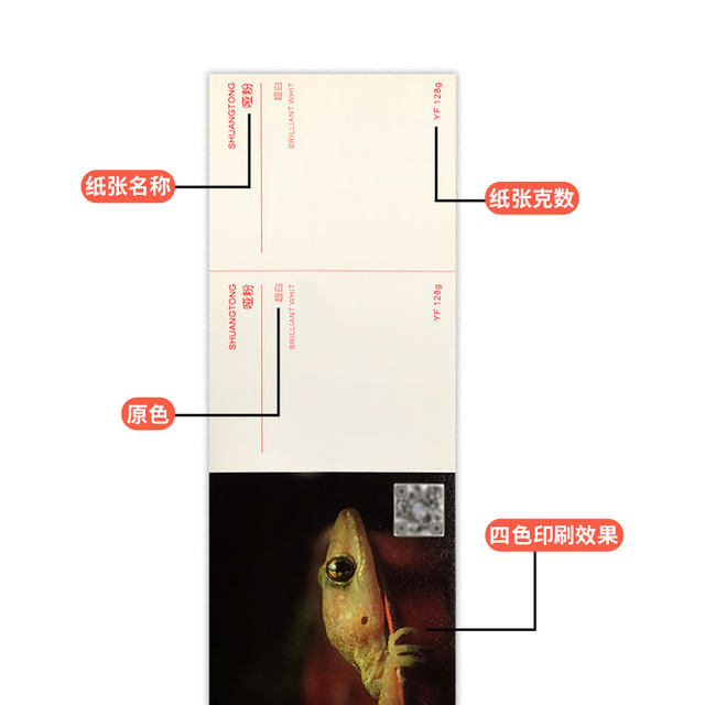 Printing paper sample book set complete printing process paper pattern