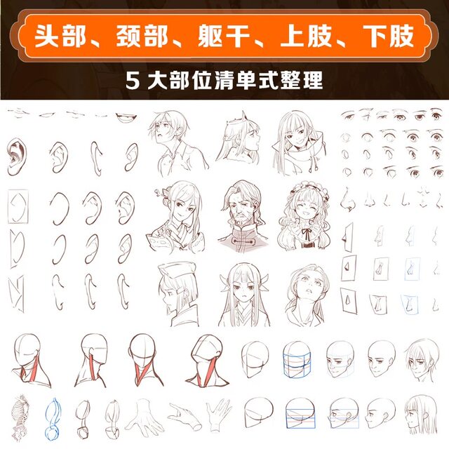 Deconstructing the human body, animation human body structure basis and drawing techniques, comic character painting, two-dimensional animation painting tutorial book, character hand-drawing techniques, human body structure, dynamic characters