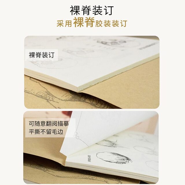 Berryman human body 4-book set, structural teaching copy book, painting character sketch copy book, art picture book teaching material, zero-based exercises for trunk and limb dynamics