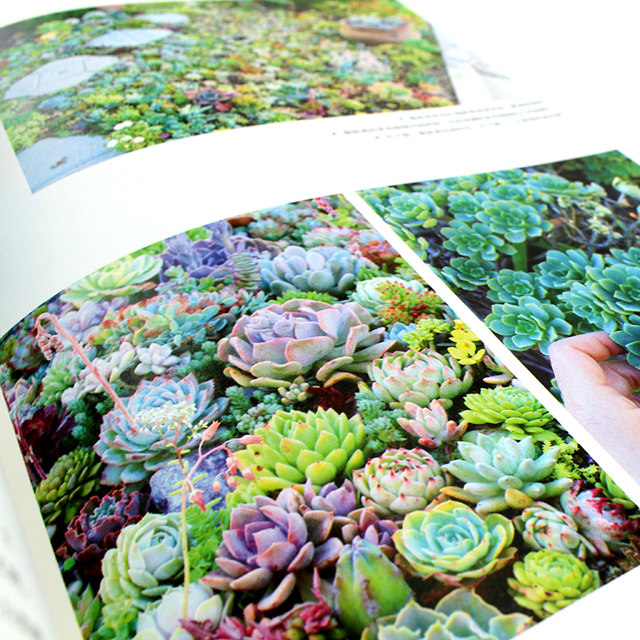 Chinese version in stock Botanical Aesthetics Days with flowers and plants Aesthetica Botanica Courtyard interior landscape soft decoration design Succulent handmade DIY Flower arrangement gardening life art book