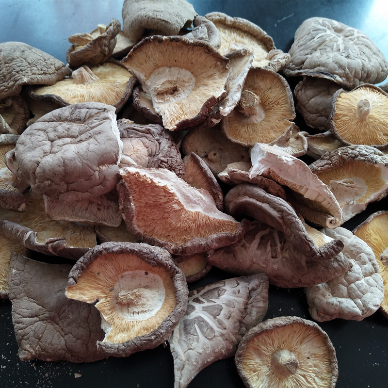 向老伯冬菇500克商用干香菇中碎片干货农家碎香菇大片剪脚散装-图2