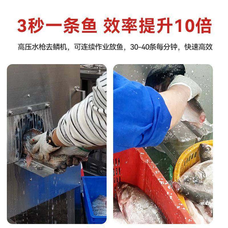 商用高压水枪去鱼鳞机黑鱼草鱼脱鳞机去鳞设备不伤鱼皮水产设备,淘宝优惠券,粉丝福利购,淘宝优惠卷