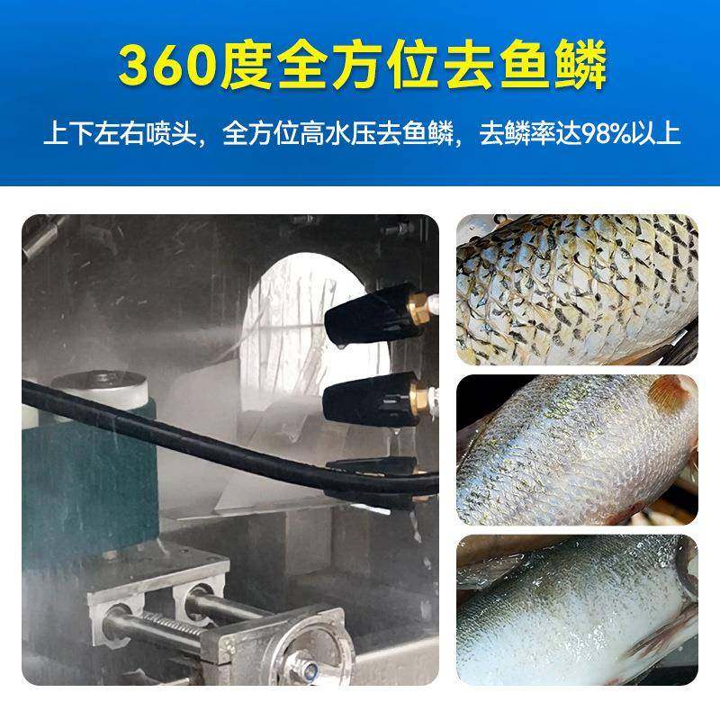商用高压水枪去鱼鳞机黑鱼草鱼脱鳞机去鳞设备不伤鱼皮水产设备,淘宝优惠券,粉丝福利购,淘宝优惠卷