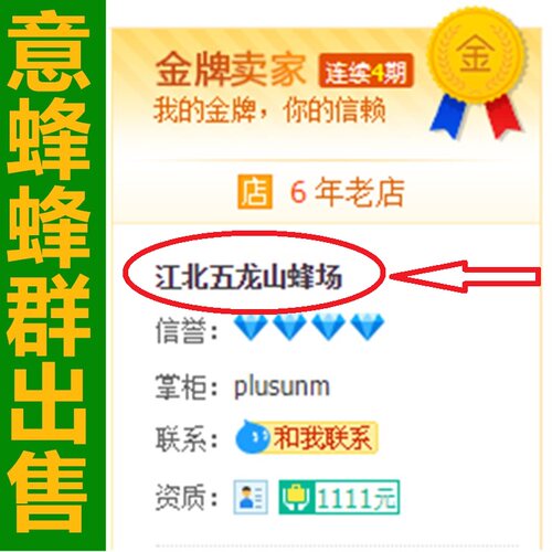 新手入门意蜂活群带脾和产卵王全套 + 技术指导 生产群 包邮包活 - 图3