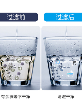 佰忠恩活性炭净水除余氯