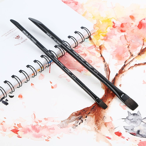 Американский черный бархатный черный лебедь импортированная акварельная ручка Bv Bv Bv Ren Roller Mosquito Mixing Hous