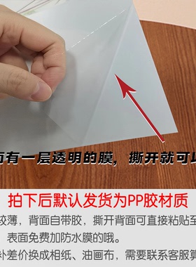 新版化学元素周期表防水墙贴