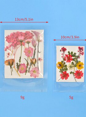 新款干花压花材料包diy押花书签滴胶手机壳押花植物标本蝴蝶QW36