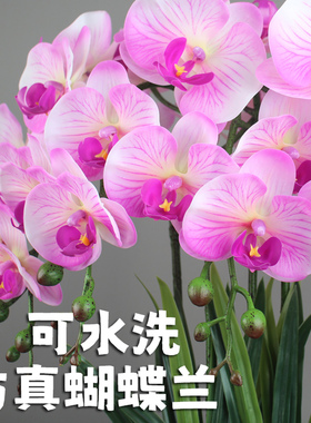高端轻奢高品质蝴蝶兰仿真花束