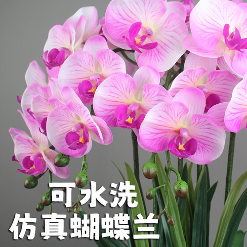 惠艺轩PU高端仿真蝴蝶兰花高品质假花婚庆花束茶几卧室花轻奢DIY - 图1