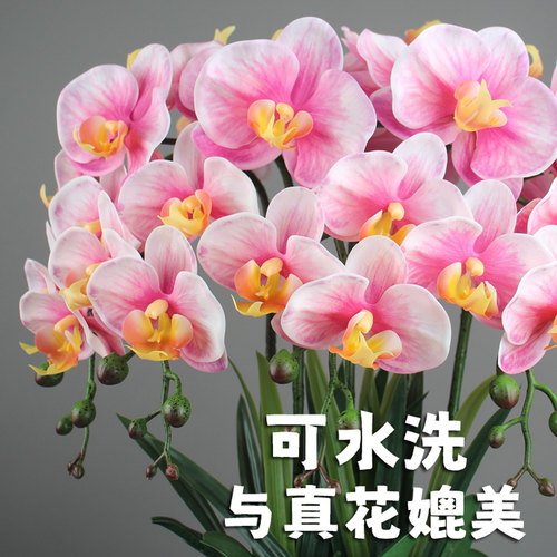 惠艺轩PU高端仿真蝴蝶兰花高品质假花婚庆花束茶几卧室花轻奢DIY - 图0