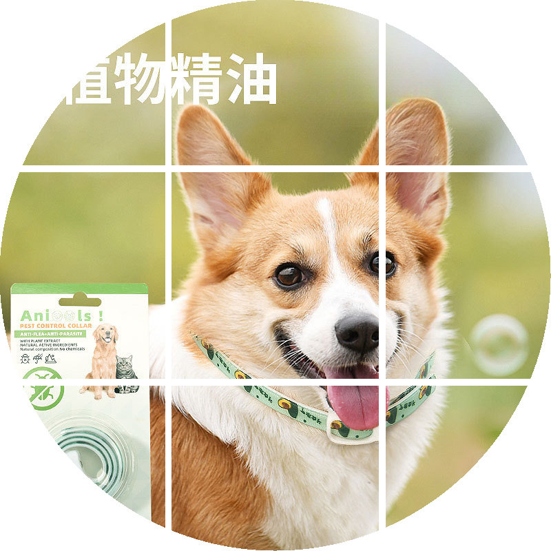 Dog essential oil collar spring and summer pet collar