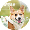 Dog essential oil collar spring and summer pet collar