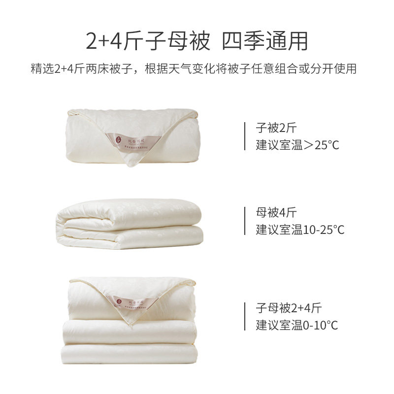 蚕丝被官方旗舰店正品二合一春秋被 银桑蚕丝被