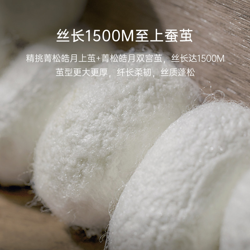 银桑保暖加厚桐乡手工双宫茧蚕丝被 银桑蚕丝被