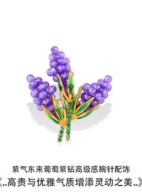 小众设计师紫葡萄胸针百搭送闺蜜
