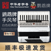 Parrot YINGWU accordion 60 96120 bass three-four-row spring accordion beginning-grade play