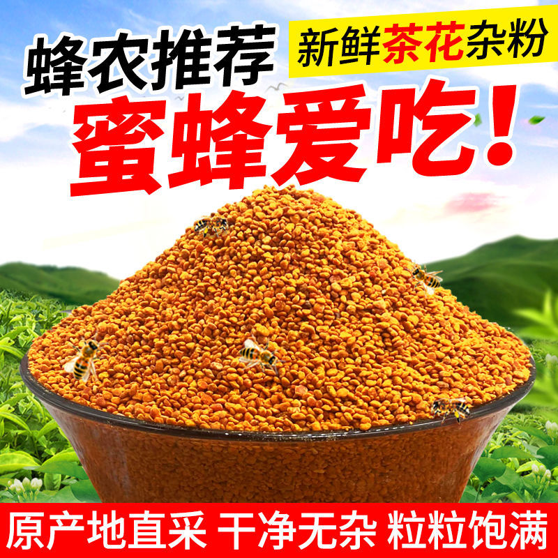 养蜂茶花杂粉喂蜂蜜蜂饲料茶叶花粉天然蜂用花粉养蜂专用蜂粮包邮