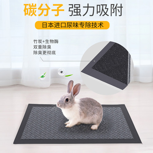 兔子尿垫除臭宠物荷兰猪清理尿不湿兔笼子隔尿垫片一次性兔子用品 - 图0