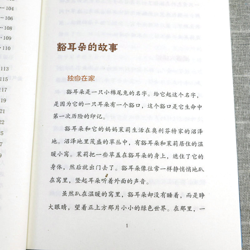 写给孩子的动物故事顽强的狼王  聪明的狐狸 淘气的小浣熊 动物故事书籍小学生一年级二年级三年级四年级课外阅读 - 图2