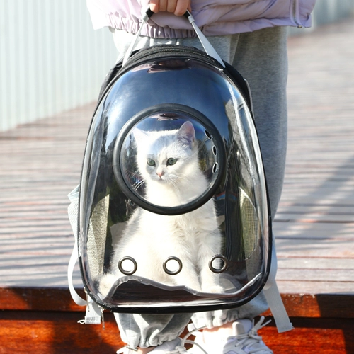 Портативный дышащий рюкзак для выхода на улицу, вместительный и большой космический ранец